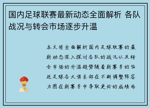 国内足球联赛最新动态全面解析 各队战况与转会市场逐步升温