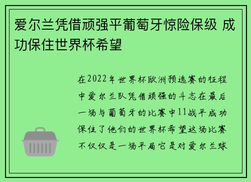 爱尔兰凭借顽强平葡萄牙惊险保级 成功保住世界杯希望
