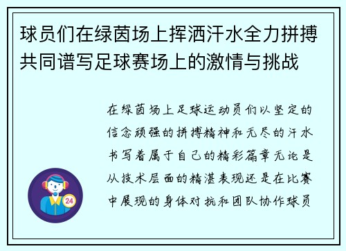 球员们在绿茵场上挥洒汗水全力拼搏共同谱写足球赛场上的激情与挑战