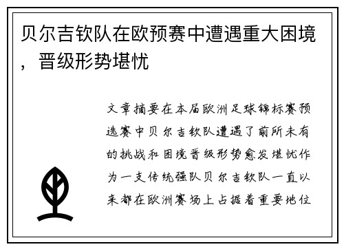 贝尔吉钦队在欧预赛中遭遇重大困境,晋级形势堪忧